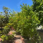 Apartmaji Garden *
