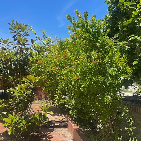 Apartmaji Garden *